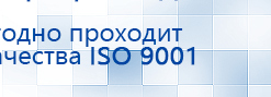 Жилет ДЭНАС-ОЛМ-02 купить в Анжеро-Судженск, Одеяло и одежда ОЛМ купить в Анжеро-Судженск, Дэнас официальный сайт denasdoctor.ru