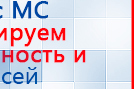 Жилет ДЭНАС-ОЛМ-02 купить в Анжеро-Судженск, Одеяло и одежда ОЛМ купить в Анжеро-Судженск, Дэнас официальный сайт denasdoctor.ru